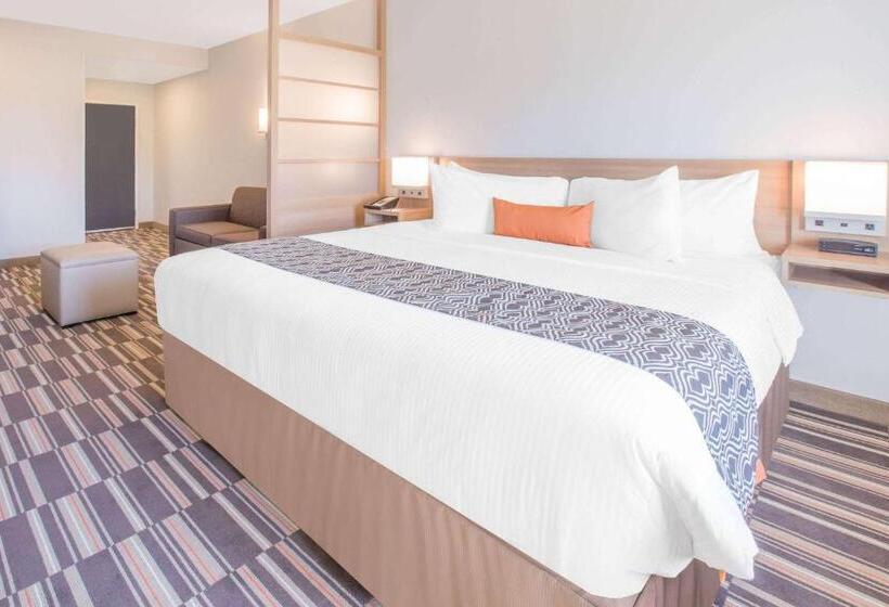 Номер Стандарт Адаптированный для Инвалидов, Microtel Inn & Suites By Wyndham Cuauhtemoc Campos Menonitas