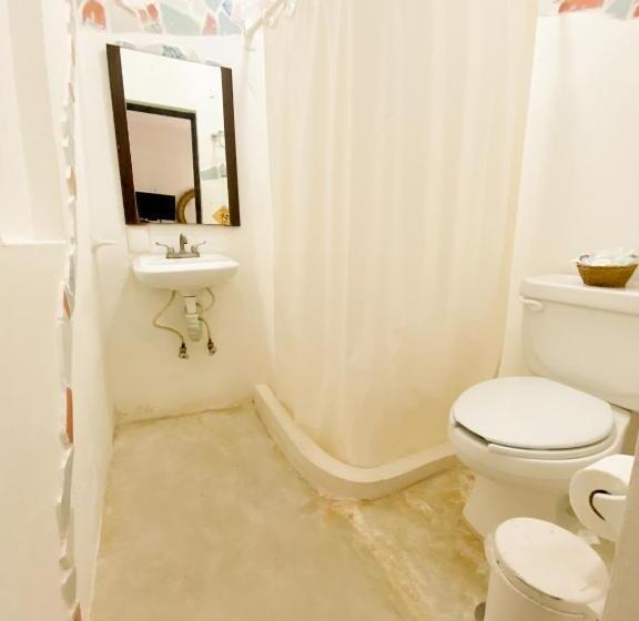 Standard Szoba, Siesta Fiesta Hotel Adults Only   5th Avenue
