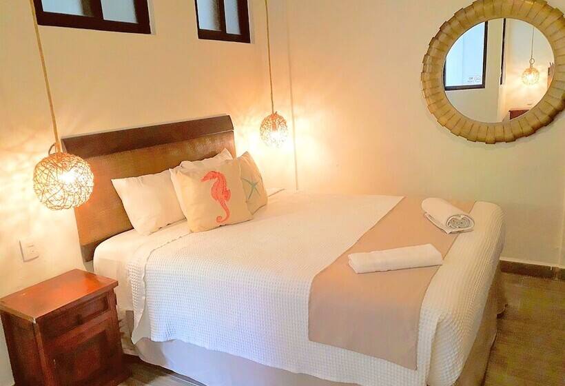 Superior Szoba, Siesta Fiesta Hotel Adults Only   5th Avenue