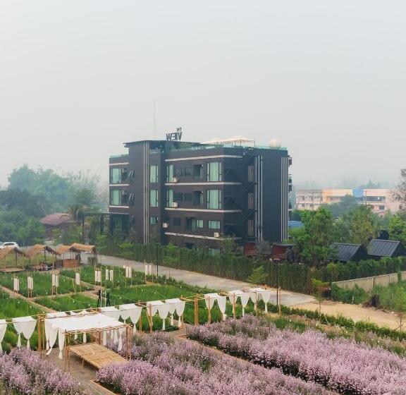 اتاق استاندارد با تخت بزرگ, The View Chiang Dao