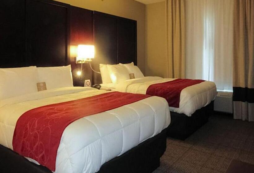 Люкс, Comfort Suites Youngstown North