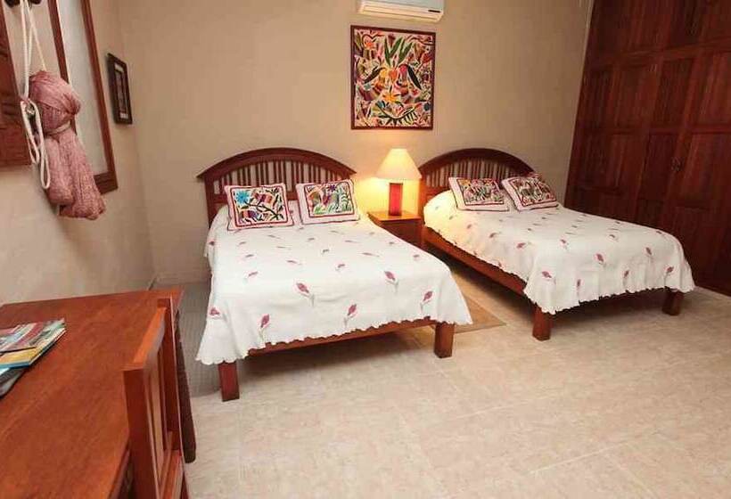 주니어 스위트, Casa Quetzal