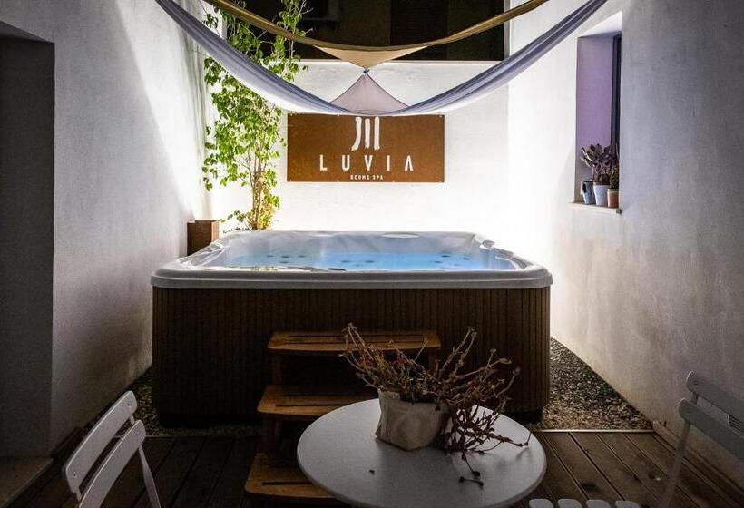 Номер Стандарт Кровать Кинг Адаптированный для Инвалидов, Luvias Spa