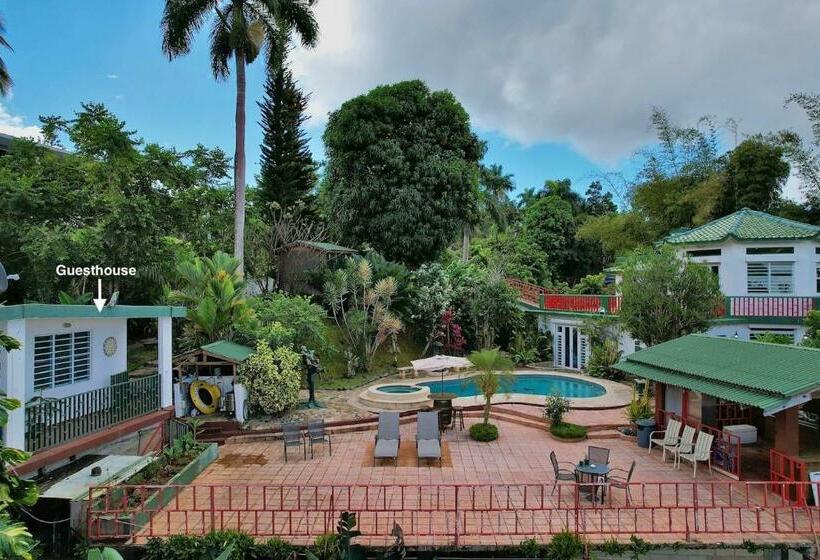 بنگله خانوادگی, Pancho S Paradise   Rainforest Guesthouse With Pool, Gazebo And View