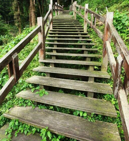 اتاق استاندارد چهار تخته, Deep Forest Inn