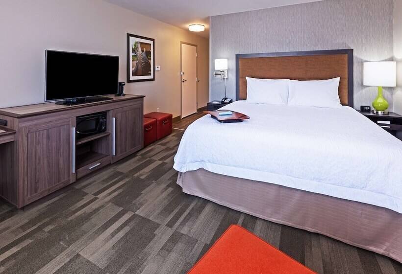 스탠다드 룸 킹사이즈 침대, Hampton Inn & Suites Georgetown/austin North