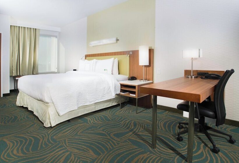 Студия Стандарт Двуспальная Кровать, Springhill Suites By Marriott Houston Westchase