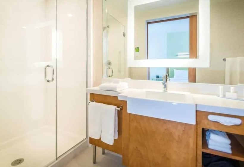 Студия Стандарт, Springhill Suites By Marriott Houston Westchase