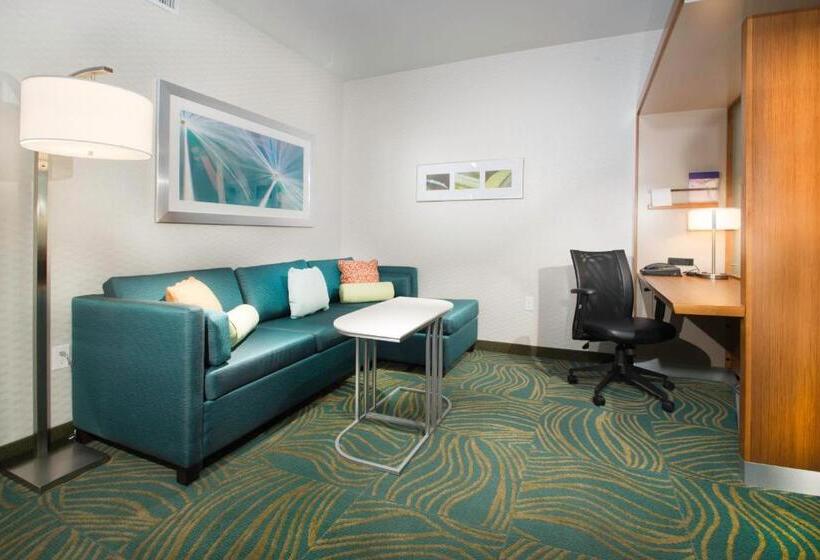 Студия Стандарт, Springhill Suites By Marriott Houston Westchase
