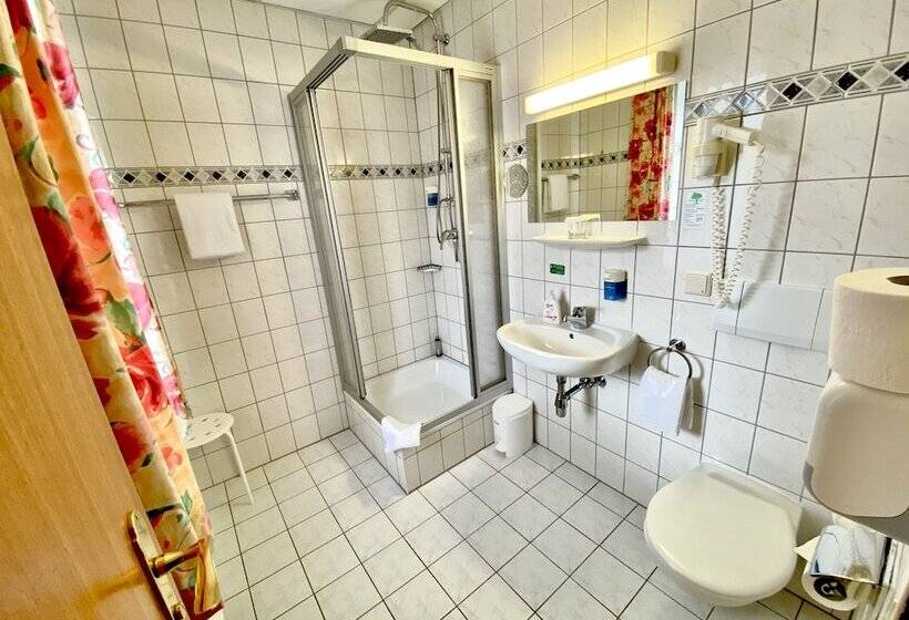 Номер Economy, Amadeus Boutique Hotel Deutscher Hof Inn & Suites