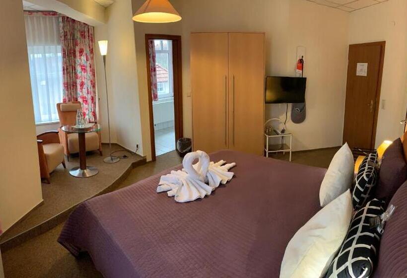 Номер Deluxe, Amadeus Boutique Hotel Deutscher Hof Inn & Suites