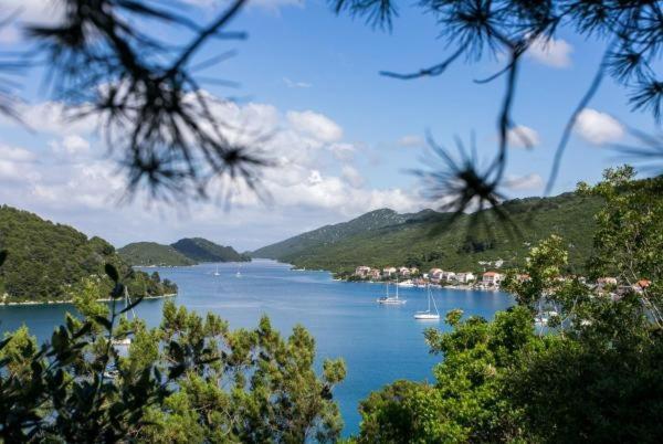 Студия Стандарт Вид на Море, Guest House Busurelo