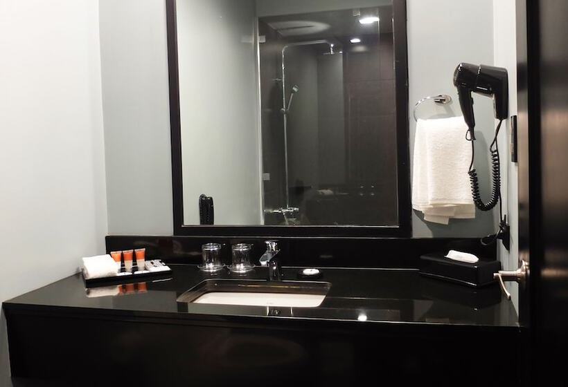 豪华房间, Amelie Hotel Manila