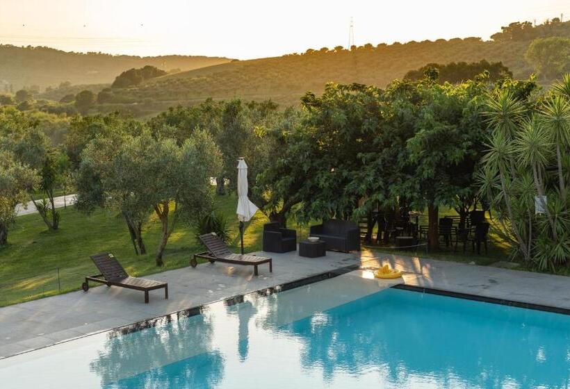 Апартаменты 1 Спальня, Agriturismo Costantino