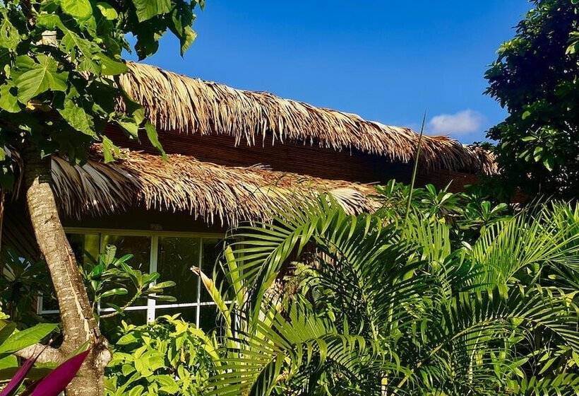 اتاق لوکس, Lipe Oasis Resort
