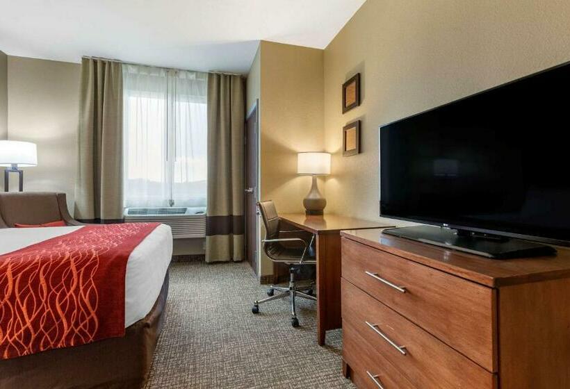 Люкс, Comfort Inn & Suites Near Mt. Rushmore