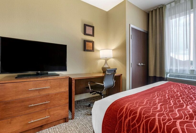 Номер Стандарт 2 Двуспальные Кровати, Comfort Inn & Suites Near Mt. Rushmore