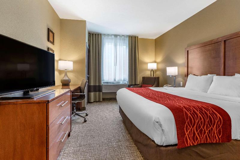 Стандартный Номер Кровать Кинг, Comfort Inn & Suites Near Mt. Rushmore