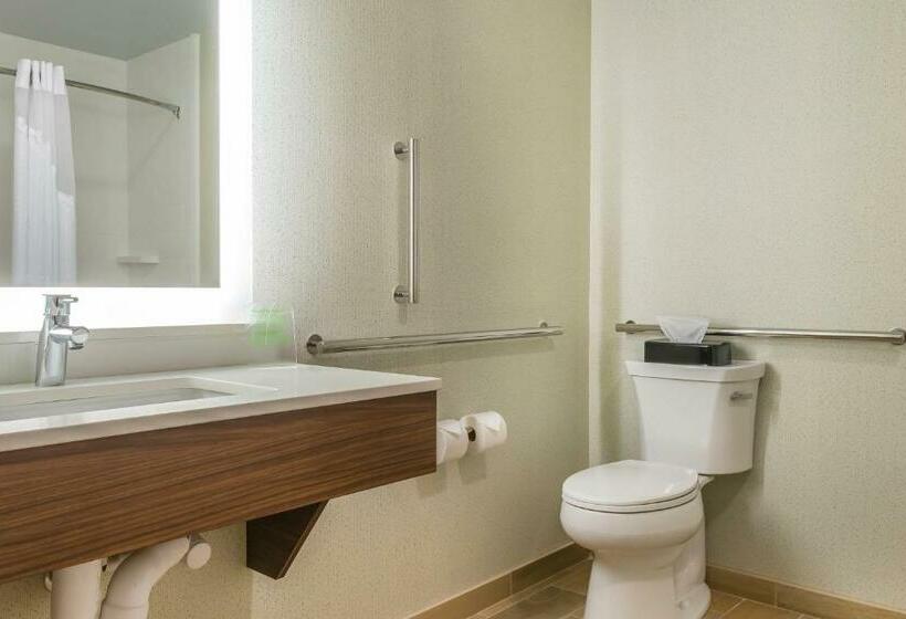 장애인을 위한 킹사이즈 침대 스탠다드 룸, Holiday Inn Express & Suites Clarion, An Ihg