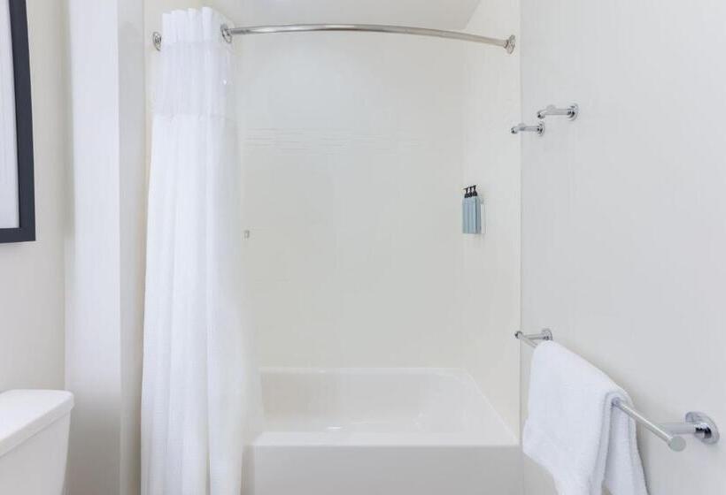 带2个卧室的套房, Residence Inn By Marriott Kansas City At The Legends