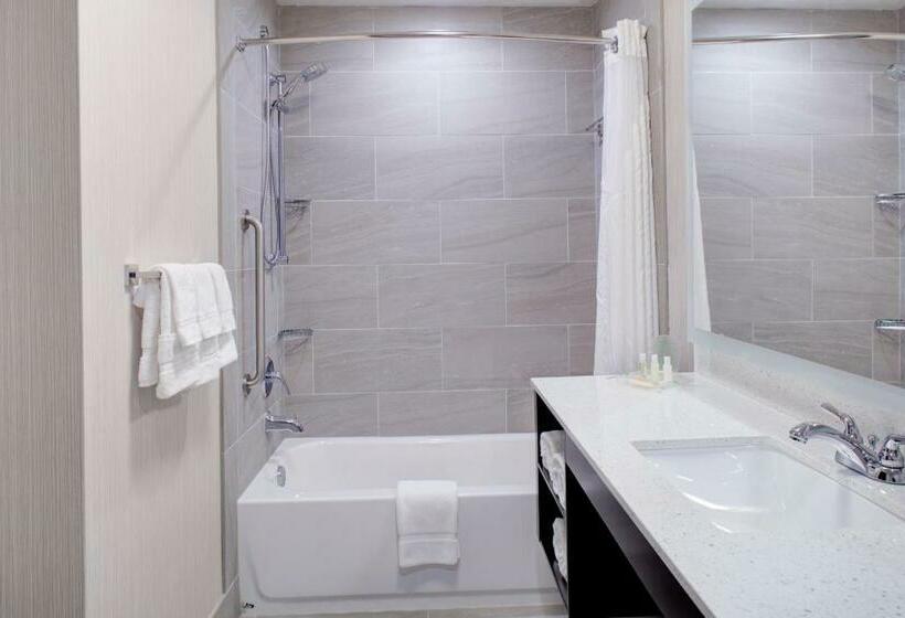 스탠다드 룸 킹사이즈 침대, Holiday Inn Windsor   Wine Country, An Ihg