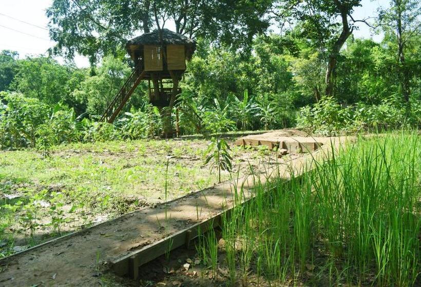 اتاق استاندارد, Nil Diya Mankada Safari Lodge