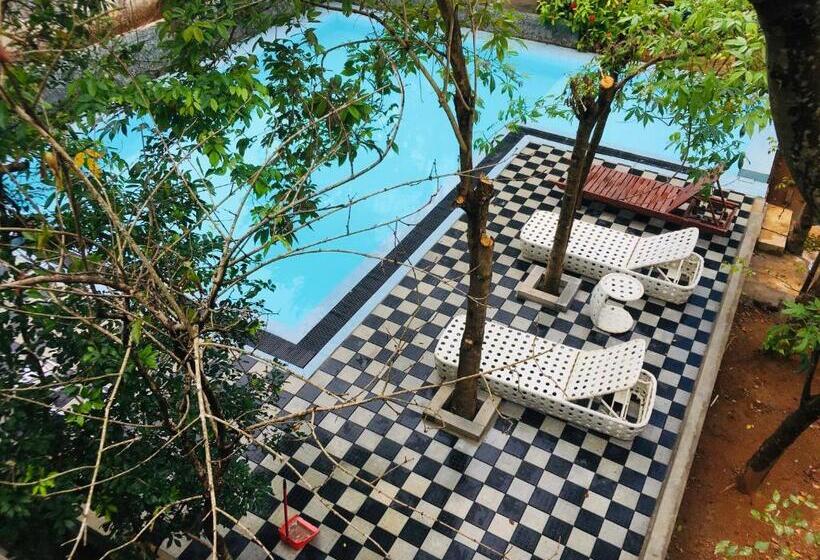 اتاق لوکس خانوادگی, Alikele Hotel & Resort