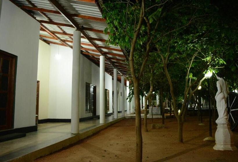 اتاق لوکس خانوادگی, Alikele Hotel & Resort
