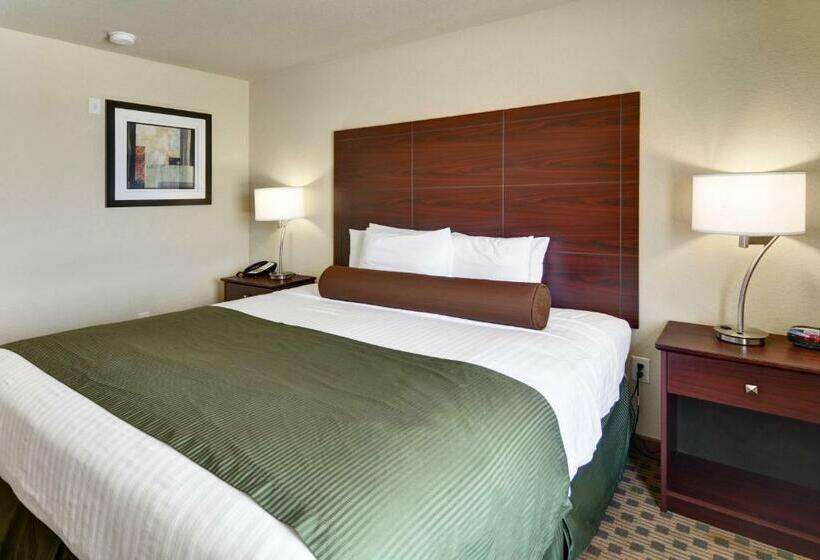 带大床的标准间, Cobblestone Inn & Suites   Big Lake