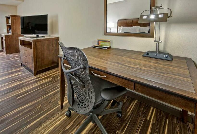 Номер Стандарт, Hilton Garden Inn Nashville Brentwood