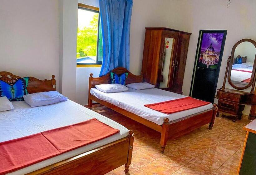 اتاق استاندارد چهار تخته, Geesh Residence : Rooms In Jaffna