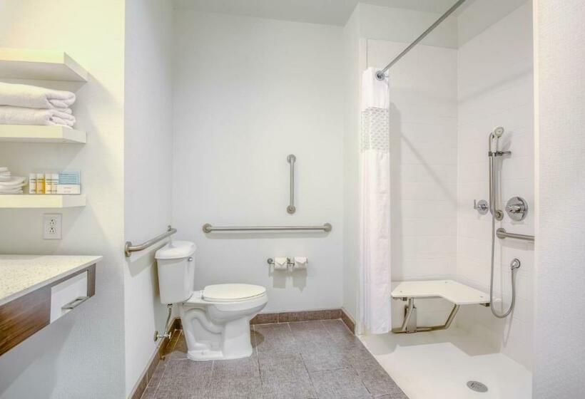장애인을 위한 킹사이즈 침대 스탠다드 룸, Hampton Inn Gulf Shores