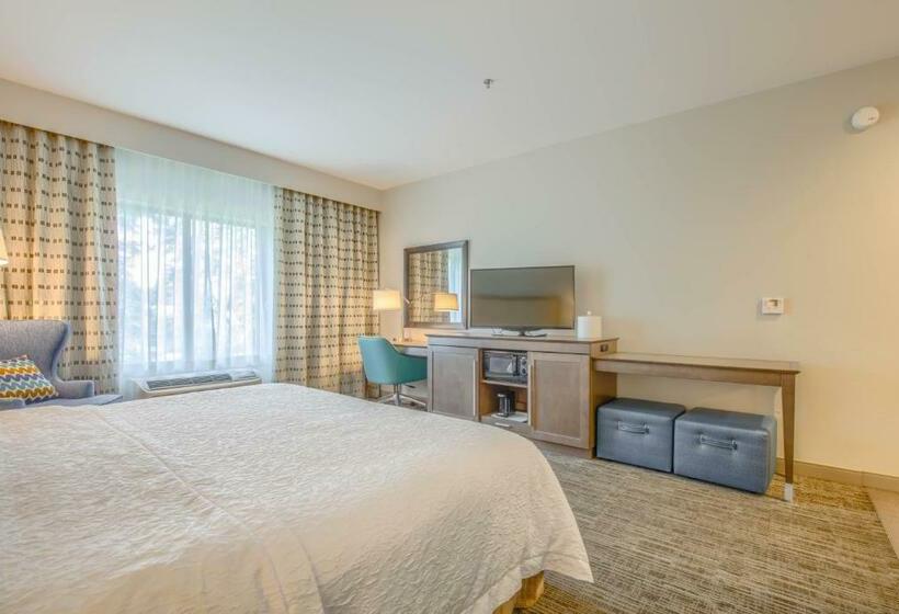 스탠다드 룸 킹사이즈 침대, Hampton Inn Gulf Shores