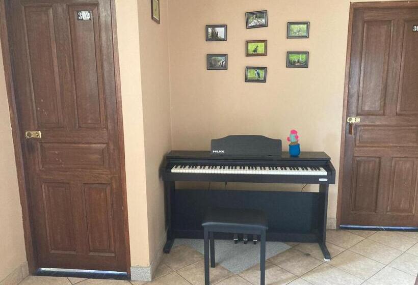 اتاق استاندارد چهارنفره با چشم‌انداز باغ, Cayesh Guest House