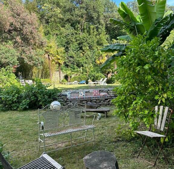 Номер Стандарт, Hacienda Shaktipat