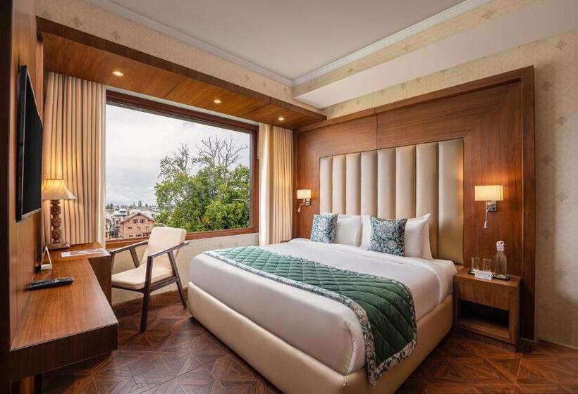 Полулюкс, Welcomheritage Grand, Srinagar