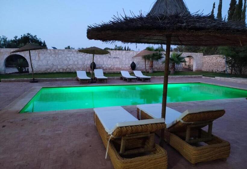Номер Стандарт, Riad Bini Ddik