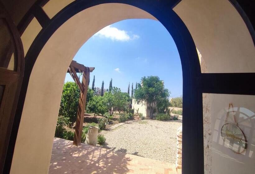 Номер Стандарт, Riad Bini Ddik