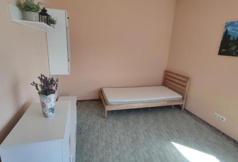 اتاق استاندارد, Romainiai Guest House
