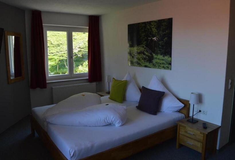 标准间带阳台, Bergsteiger Hotel Grüner Hut