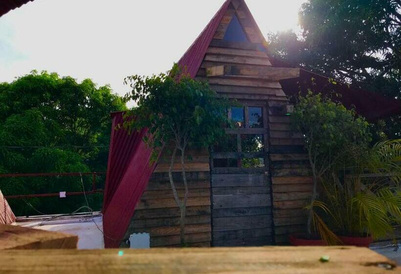 آپارتمان 1 خوابه با چشم‌انداز, Tinyhouse Samaná