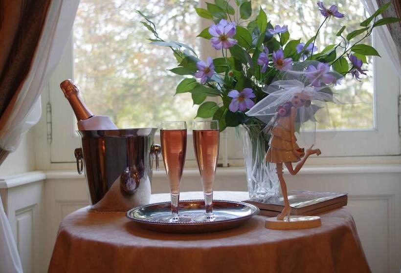 Номер Superior, Domaine De Chatenay  Le Mans