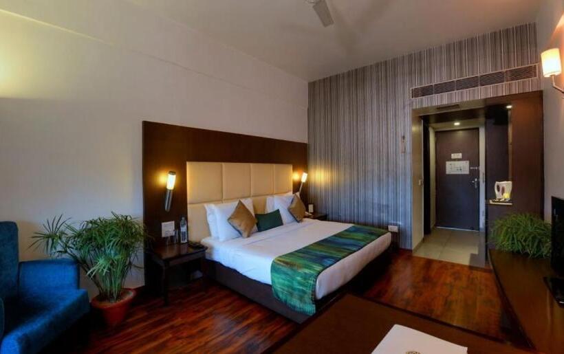 高级大房间, Treehouse Hotel Club & Spa