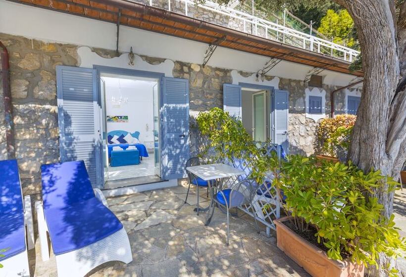 Quarto Estandar, La Maliosa D  Arienzo