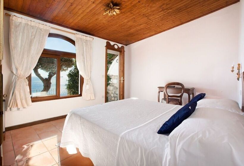 Quarto Estandar, La Maliosa D  Arienzo