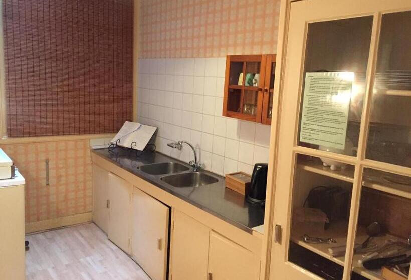 Семейные Апартаменты, Hanzestadslogement De Leeuw, In Het Centrum, Met Een Binnenplaats, Kamers Met Badkamer En Toilet En
