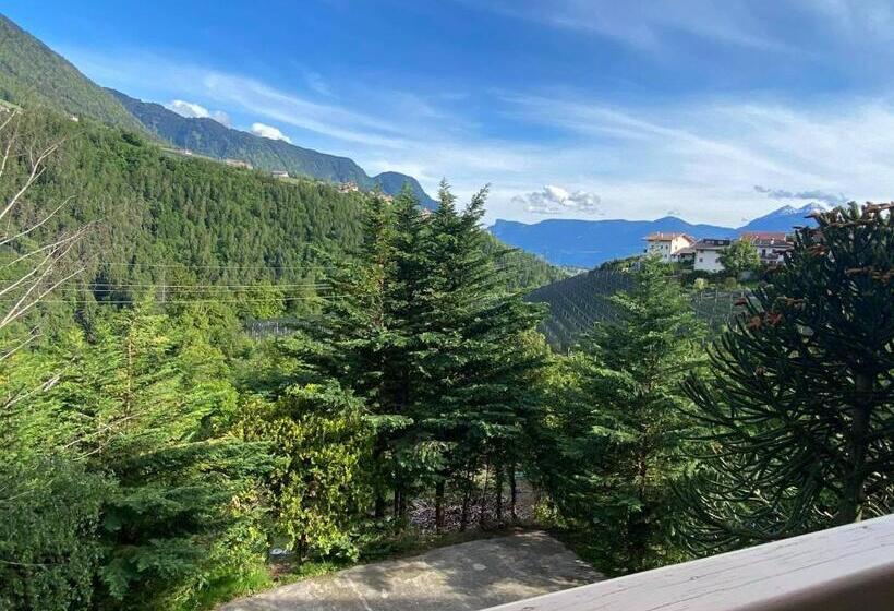 Четырехместный Номер Стандарт с Балконом, Laimerhof