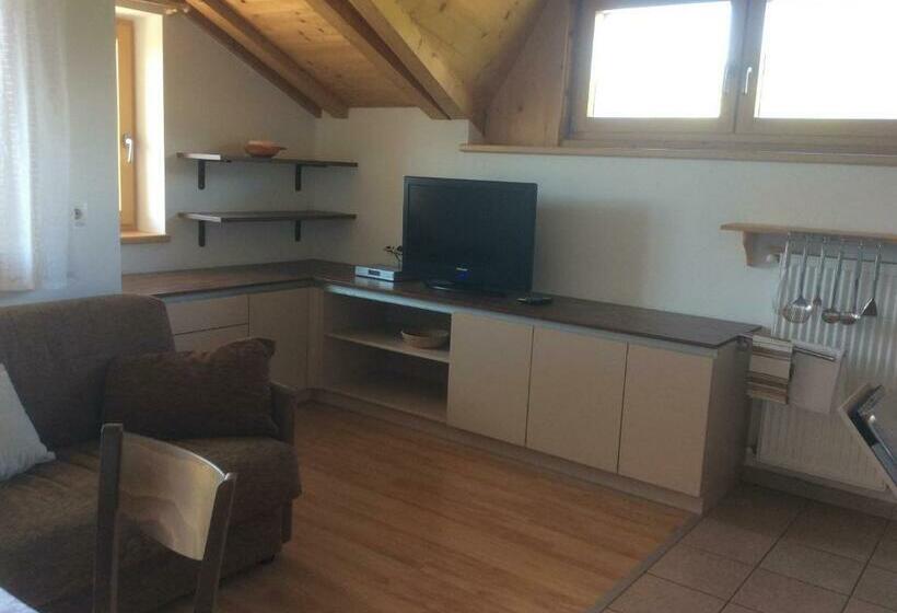 バルコニー付き1ベッドルームアパートメント, Panorama Residence Schlossblick