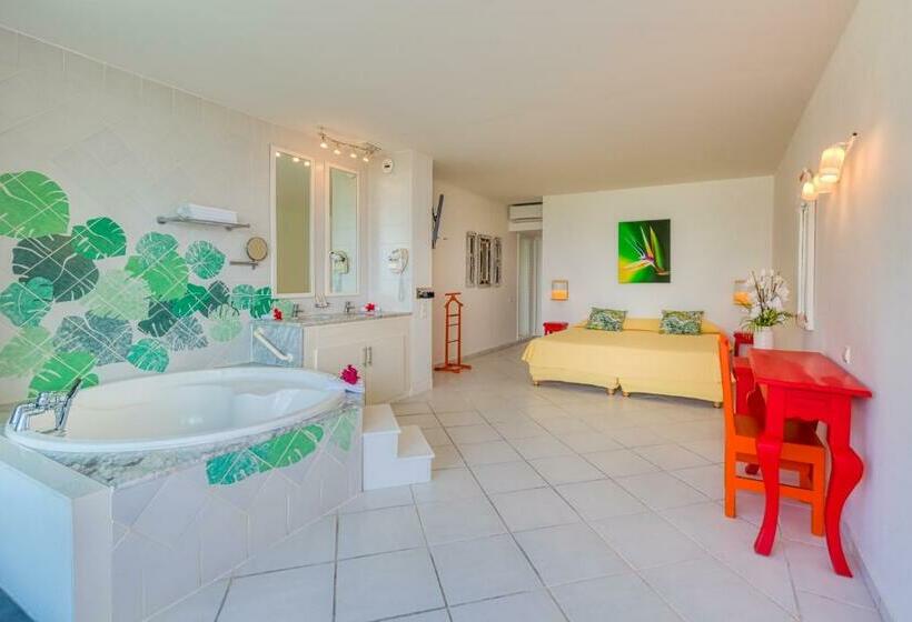 اتاق استاندارد, Le Domaine Anse Marcel Beach Resort