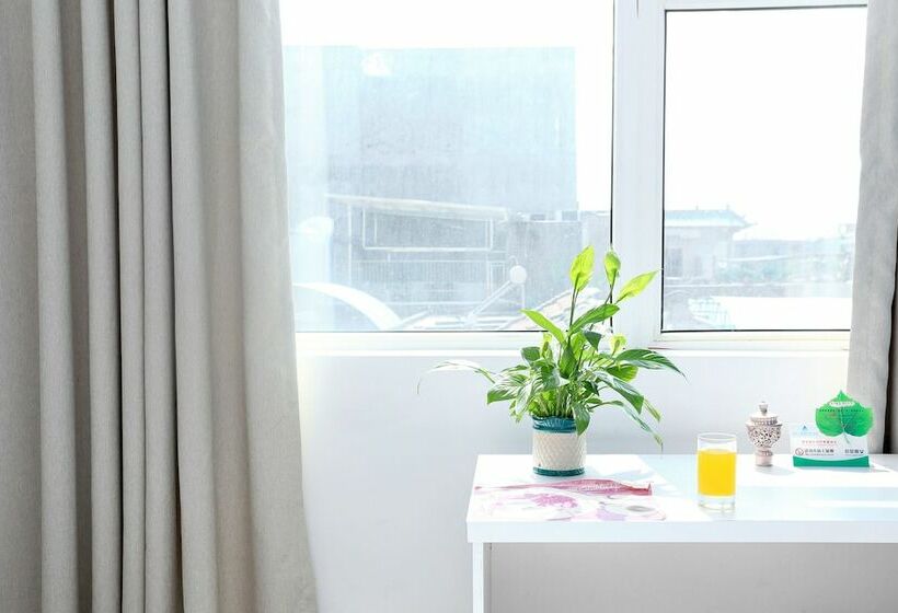 스탠다드 싱글 룸, Alley Youth Hostel